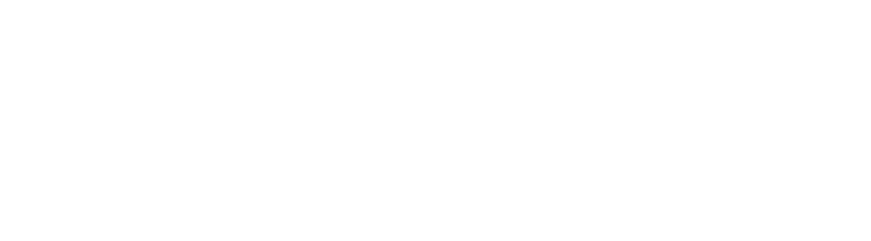 Amyra Securities Logo